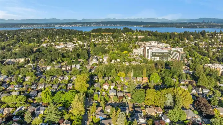 The home is walking distance to University Village and just over a mile to a light rail station.  University of Washington is a close by as well.