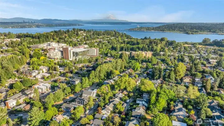 Neighborhood is perfectly situated to access all things Seattle