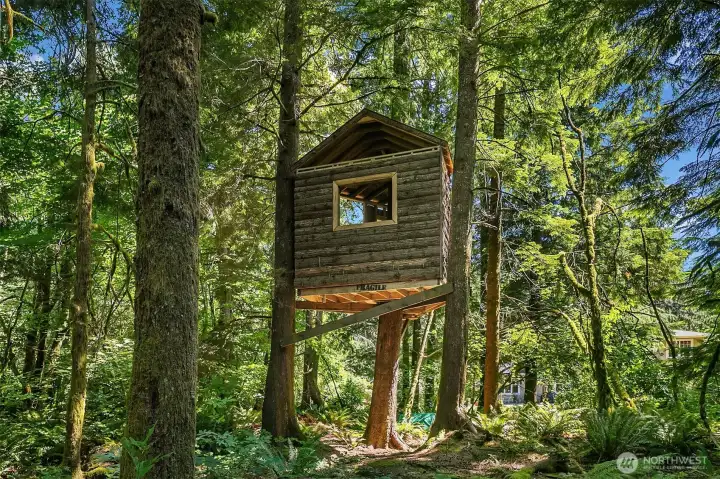 Yes -- The actual tree house -- Note ... this was a work in progress but all the lumber is on site for you to take the next step! Yes -- The actual tree house -- Note ... this was a work in progress but all the lumber is on site for you to take the next step!