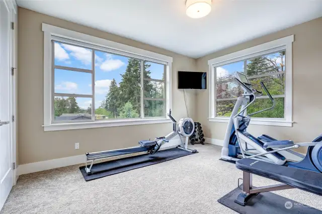 Southerly bedroom which serves as the home's exercise room currently. Flat screen TV included for your enjoyment. This bedroom is quite large. Wonderful territorial views from this room and French door opening to the closet lined with built-ins which include drawers.