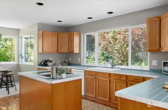 Natural light and lots of counter space. Your kitchen has its cook top is in the island unit.