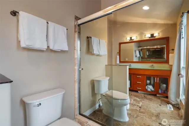 Primary Shower