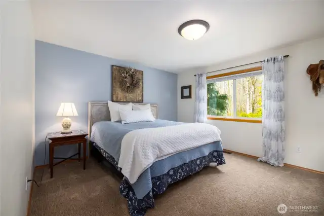 Spacious Downstairs bedroom