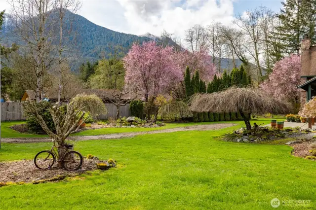 Beautiful gardens all just starting to emerge and bloom.