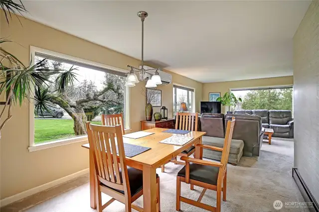 Great view from the dining and living room.
