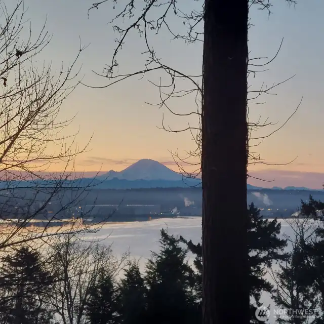 View from the Primary Bedroom window