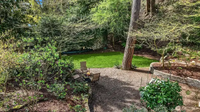 Large, level yard space