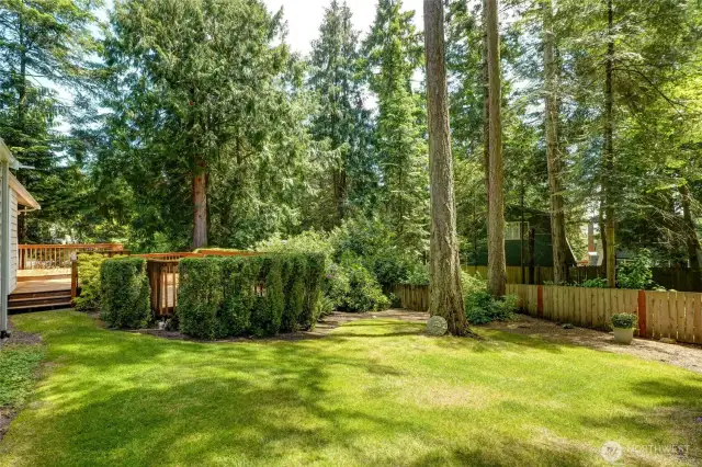 Plenty of backyard space for yard games or your pet.