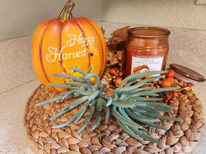 Imagine enjoying the gorgeous fall season while prepping food in your new kitchen!