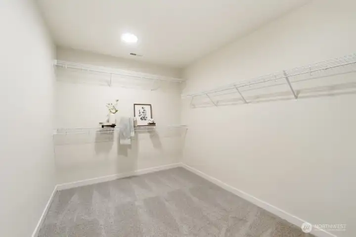 Huge walk in closet