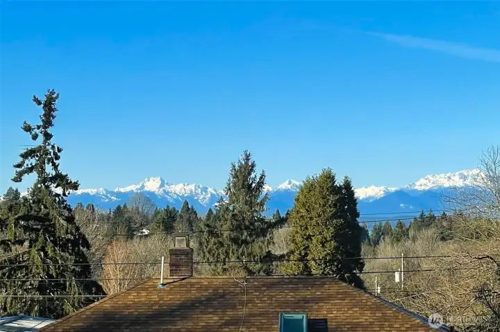 Snow capped Olympic Mountains and "peek-a boo" views of Puget Sound.