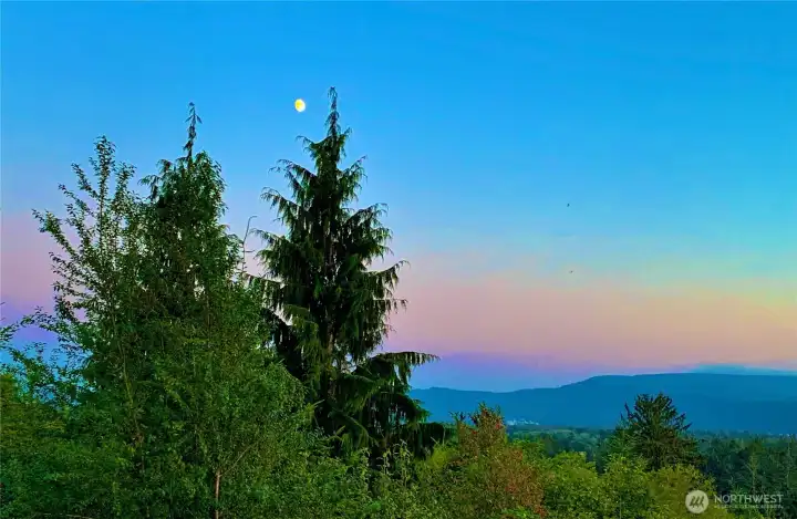 Privacy & nature abounds