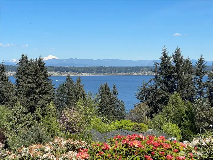 Magnificent View from your property!