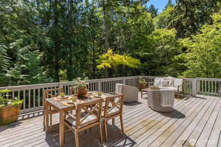 Large back deck perfect for grilling, dining, and