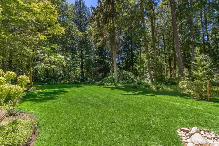 Large flat back yard