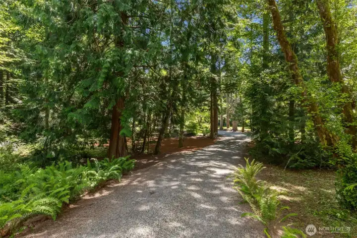 A picturesque tree lined driveway winds through the towering evergreens and lush native landscaping creating a serene and welcoming approach to the home.