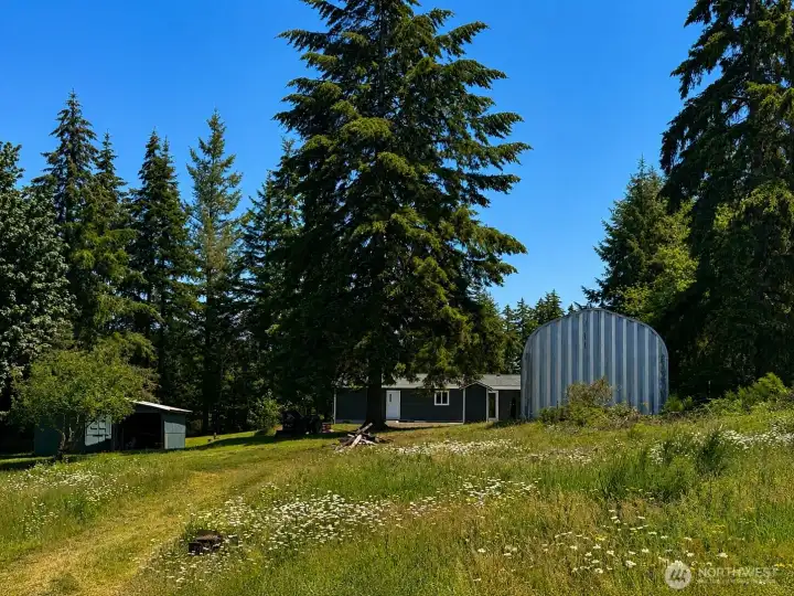 View from the wooded area in the back