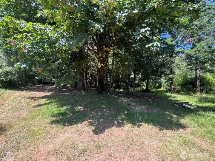 Camp like rear wooded area.