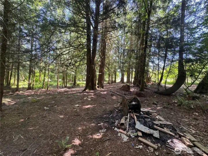 Camp site 1