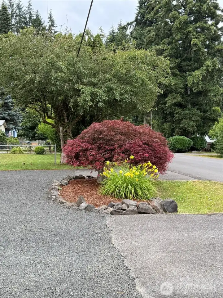Wonderful off street parking with circular driveway.
