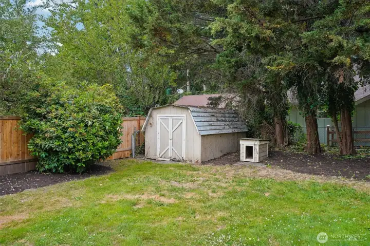 Shed Shed