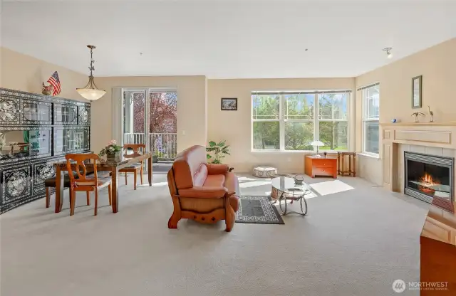 Enormous Living/Dining Room