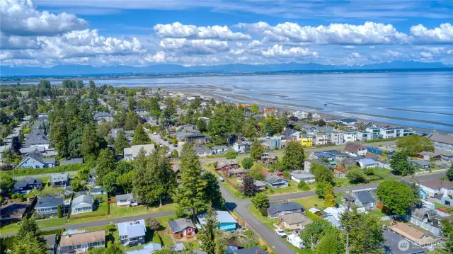Beautiful neighborhood views