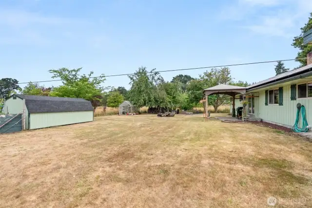 Large Back yard