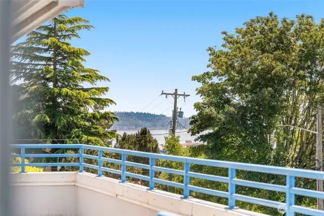 View from the Patio