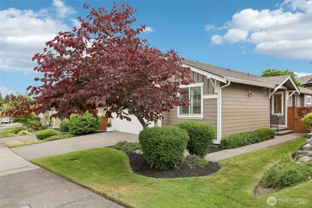 Walkway leads to front door on south side of house. There is also a gate leading you to the backyard.
