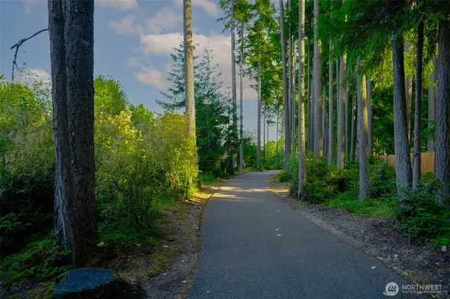 Walking trail leading to the beach front.