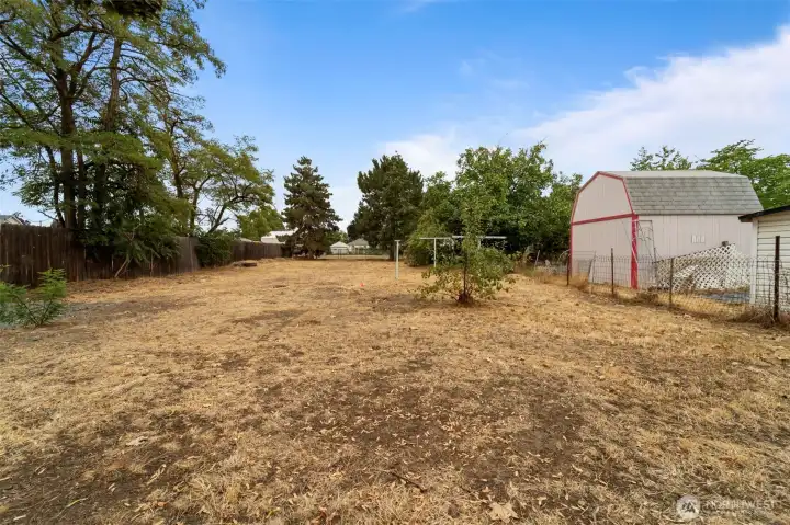 Extra Large Backyard