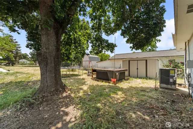 Backyard
