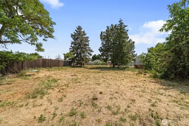 Spacious Backyard