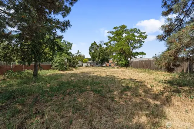 Oversized Lot