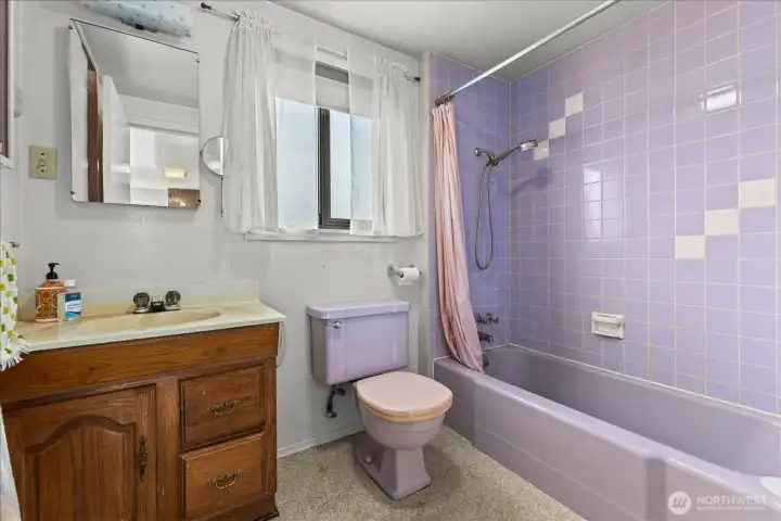 Bathroom Main Floor