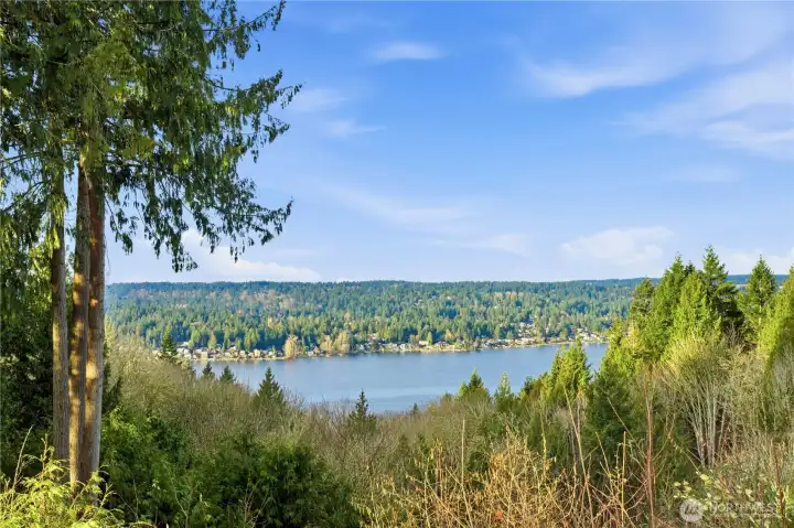 Lake view in the back.