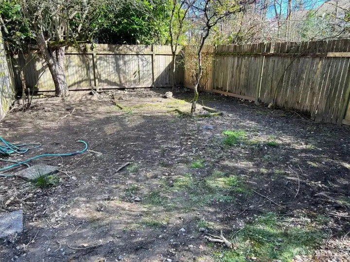 Backyard