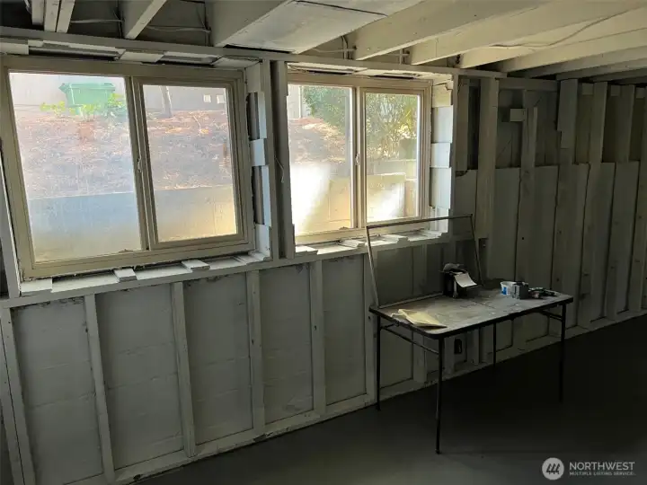 Basement NE Windows