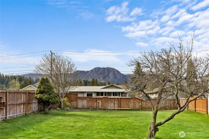 The fully fenced backyard is a great place to hang out. Check out that view of Peoh Point!