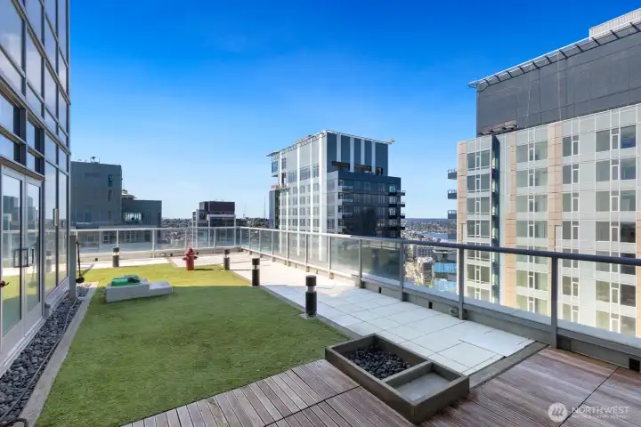 Fur babies get high rise potty breaks with views!