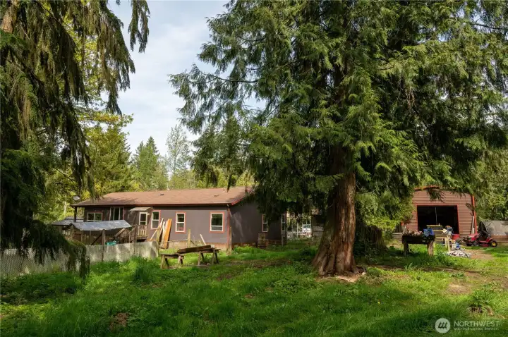 Backside of house and shop