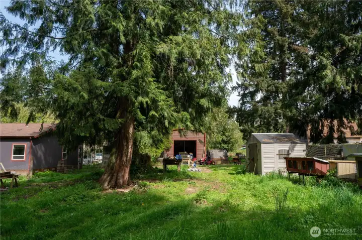 Backside from pasture