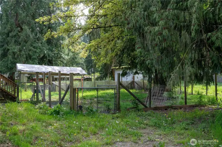 Pasture area and dog run