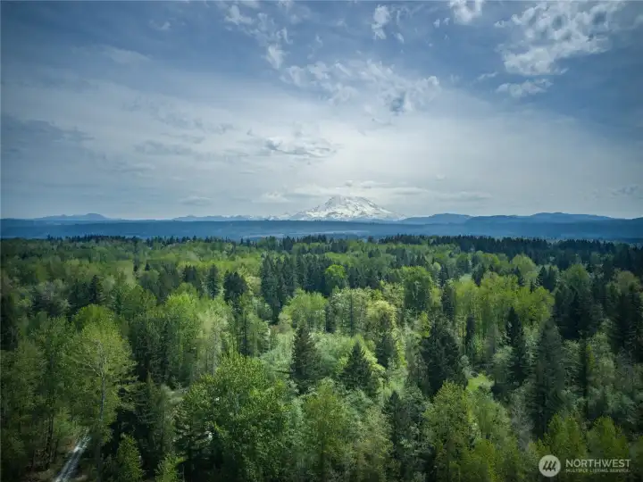 Mt Rainier drone view