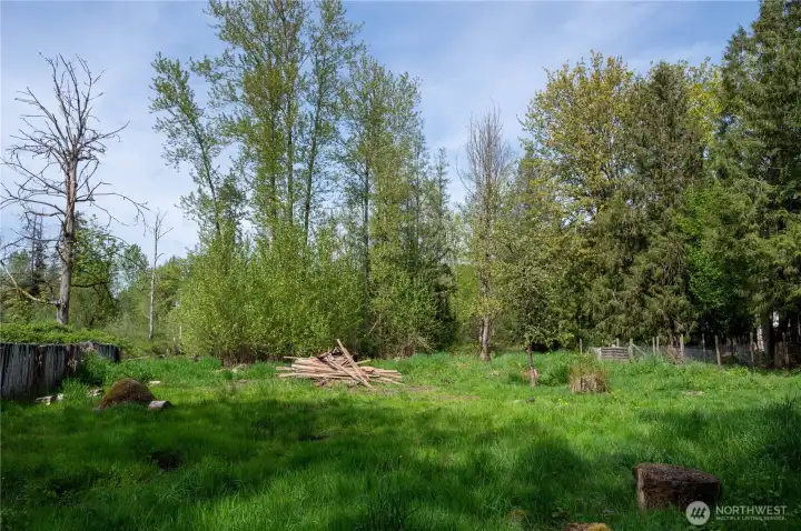 Pasture area