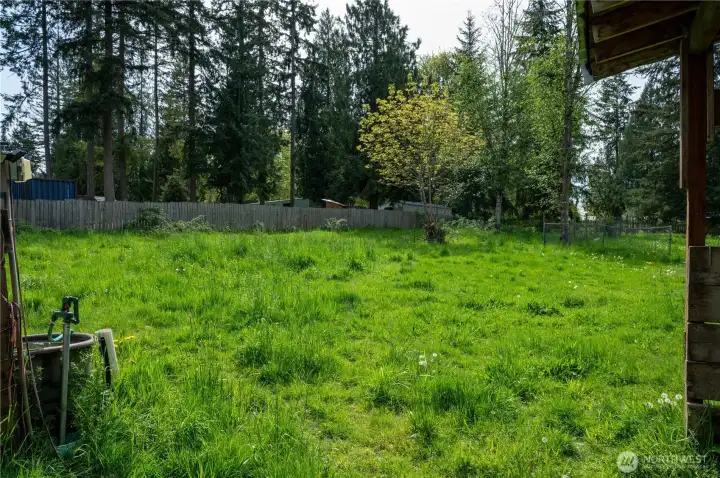 Pasture - Wide open spaces