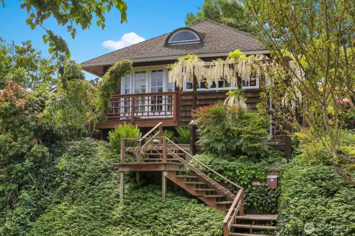 Sweet vintage home covered with wisteria and old-growth cedar.