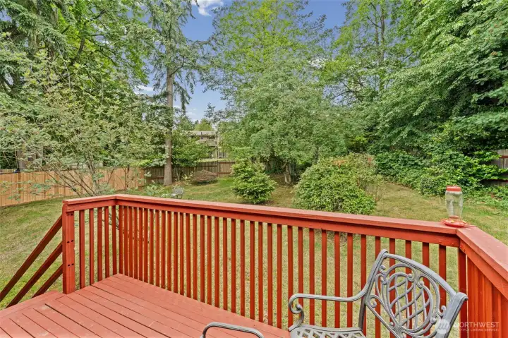 Nice deck off the dining room to the back yard