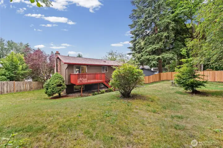 Big back yard!